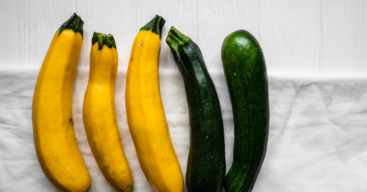 entdecken sie köstliche und gesunde rezepte, die ihnen helfen, sich ausgewogen zu ernähren. von nahrhaften frühstücksoptionen bis hin zu leckeren abendessen – finden sie inspirierende ideen für jeden tag!