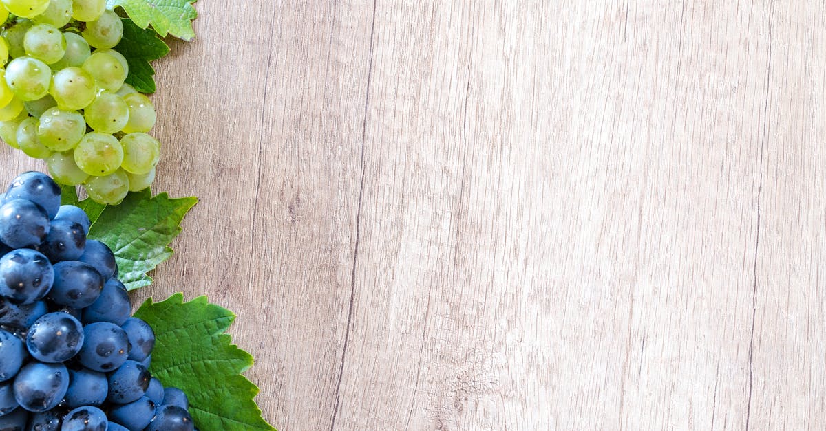 entdecken sie die heilkunst der naturheilkunde. erfahren sie, wie natürliche methoden das wohlbefinden fördern und krankheiten vorbeugen können. lassen sie sich von bewährten therapien und persönlichen ansätzen zur gesundheitsförderung inspirieren.