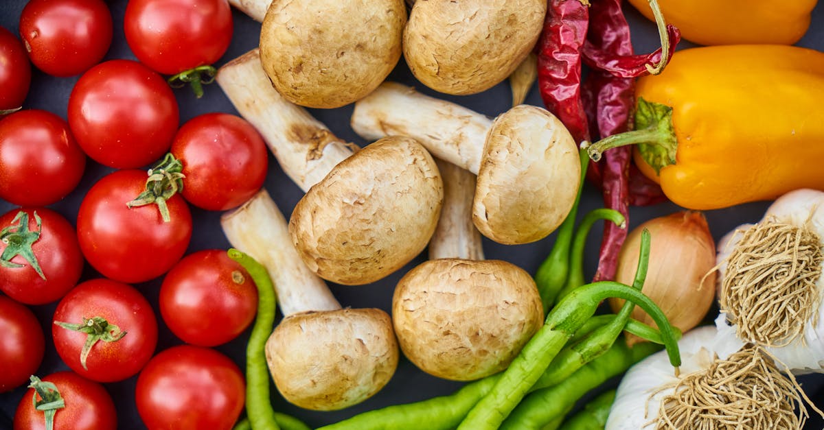 entdecken sie die faszinierende welt des kochens mit unseren leckeren rezepten, hilfreichen tipps und kreativen ideen für jeden anlass. kochen sie mit freude und verwandeln sie ihre küche in ein kulinarisches paradies!