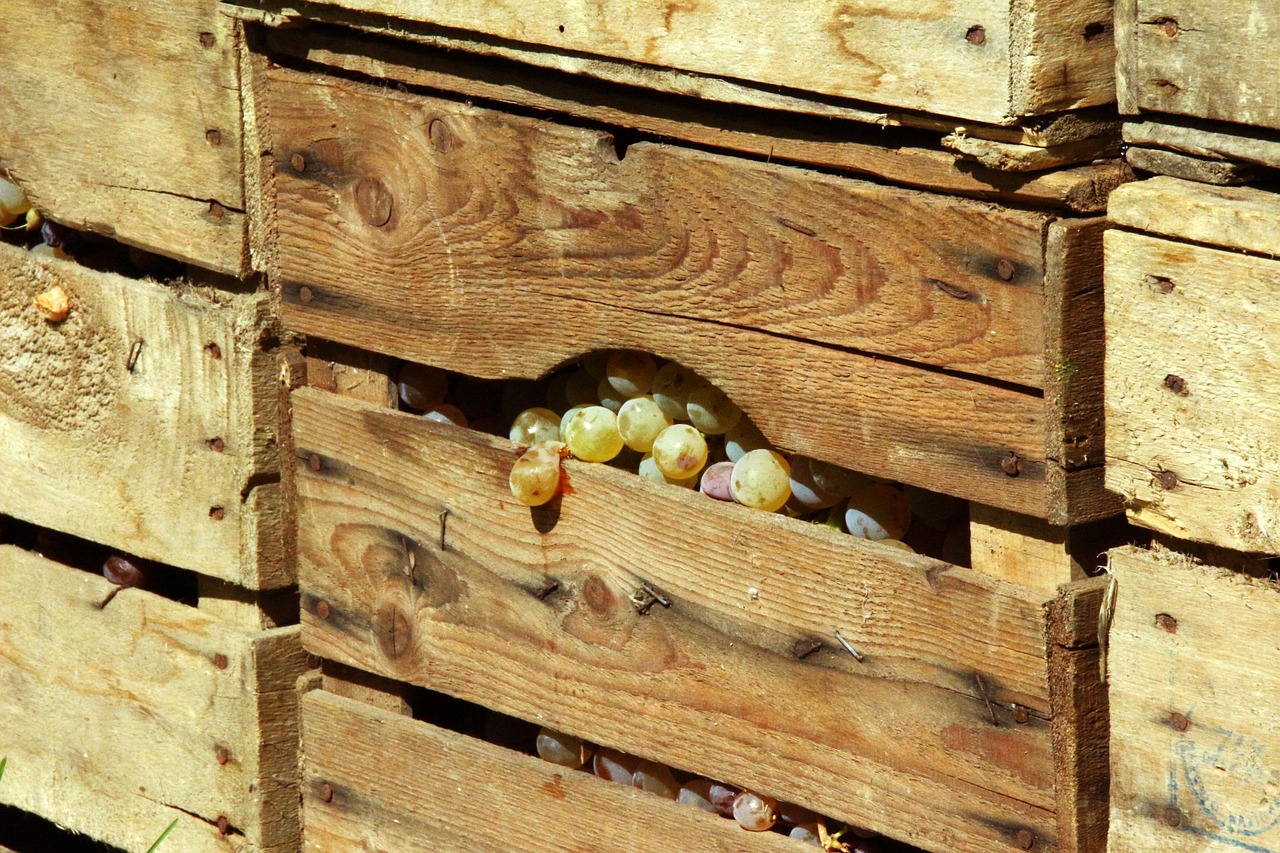 entdecken sie die welt der fermentation! erfahren sie, wie diese uralte methode zur konservierung von lebensmitteln nicht nur den geschmack verbessert, sondern auch die gesundheit fördert. tauchen sie ein in rezepte und tipps für die herstellung von köstlichen fermentierten lebensmitteln zu hause.