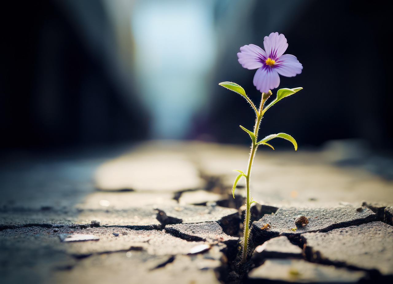 erfahren sie, wie resilienz ihnen helfen kann, herausforderungen zu meistern und ihre mentale stärke zu verbessern. entdecken sie strategien zur förderung ihrer widerstandsfähigkeit und zur bewältigung von stress im alltag.