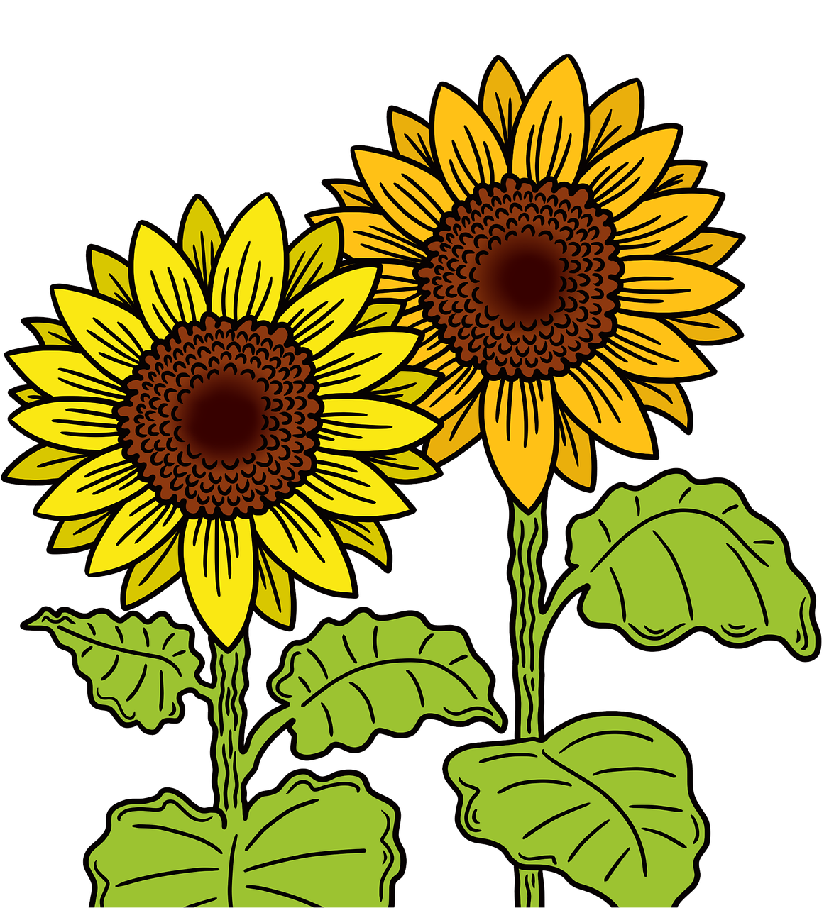 sonnenblume: entdecken sie die schönheit und bedeutung der strahlenden gelben blume, die für glück und wärme steht.
