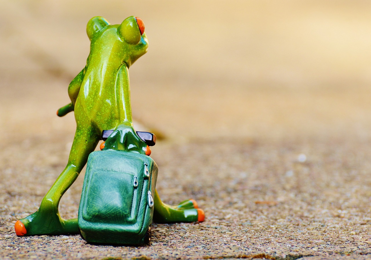 aktuelle reisehinweise und wichtige informationen für ihre reiseplanung. bleiben sie sicher und informiert mit unseren aktuellen travel advisories.