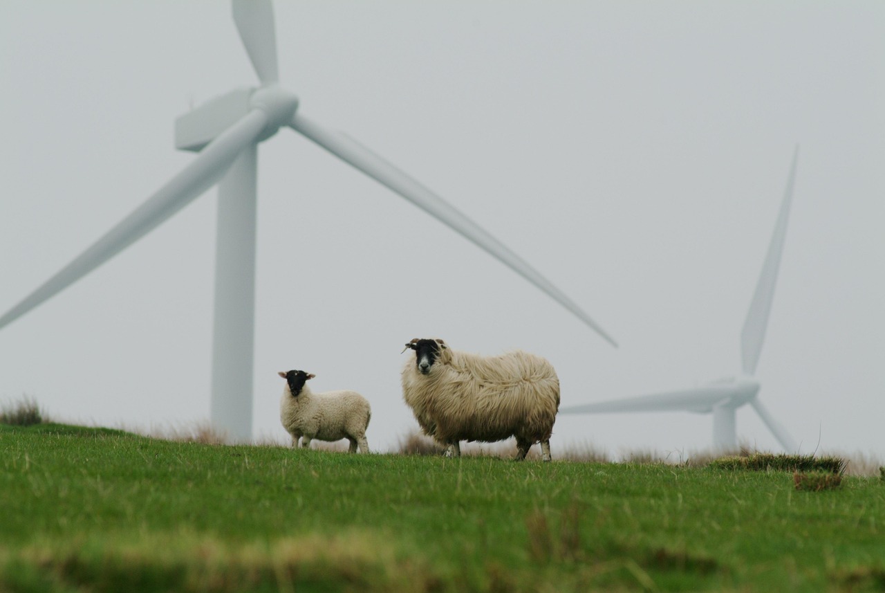 mit Green Care WALD neue Perspektiven und Möglichkeiten entdecken