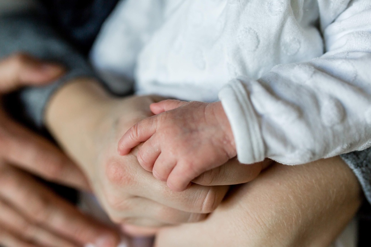 Reise mit kindern: die besten angebote