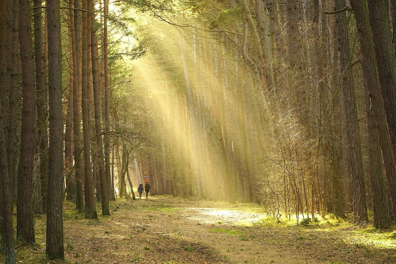 Die bemerkenswertesten wanderwege der welt