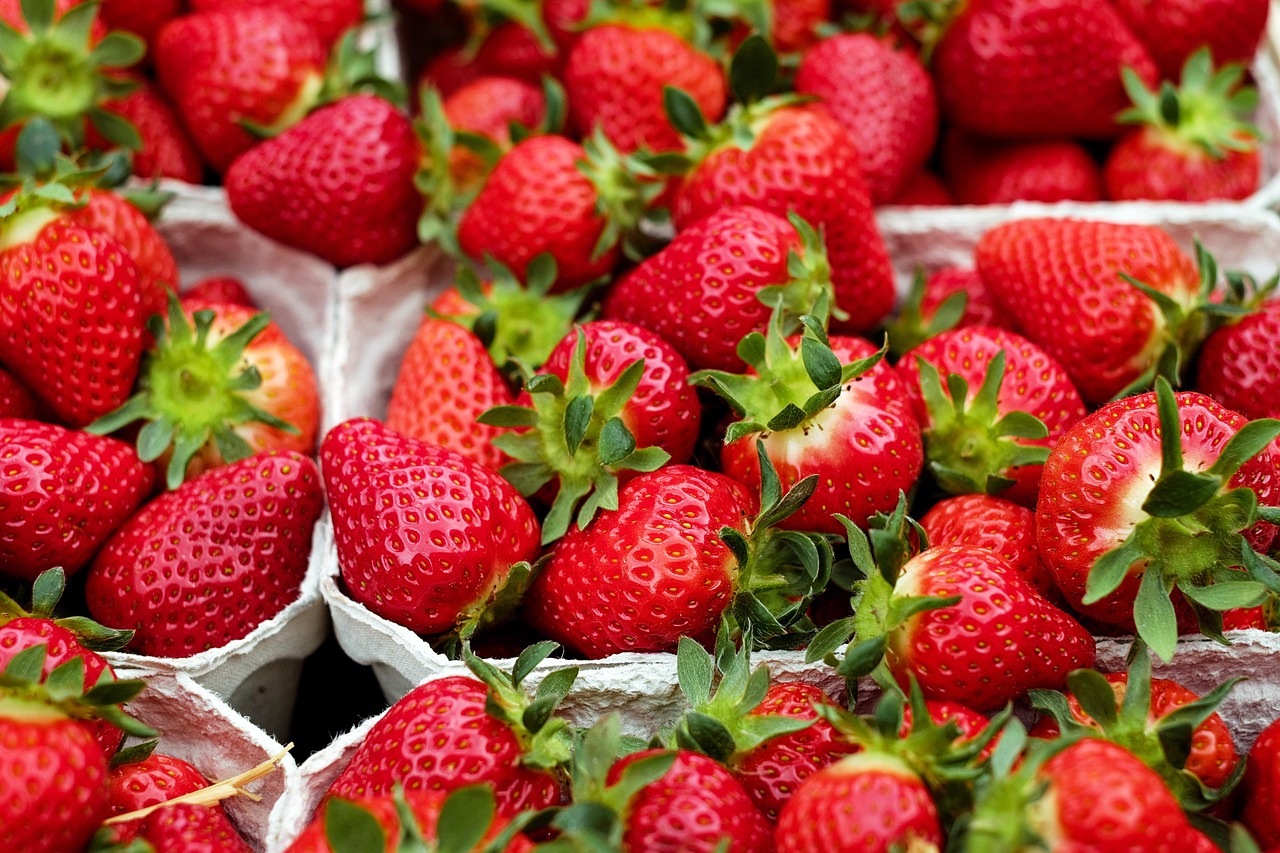 Genussvolle Ernährung und stille Wünsche – Pflegeexpertise mit Jenny entdecken