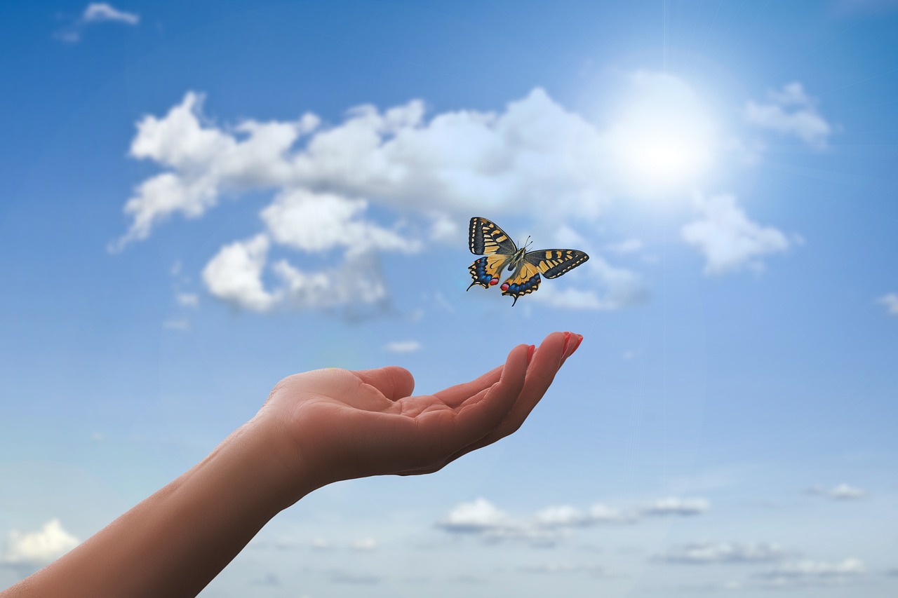 Gesundheit und Wohlbefinden: Ein Wochenende voller Wissenschaft und Erholung in der Stadt der Forschung