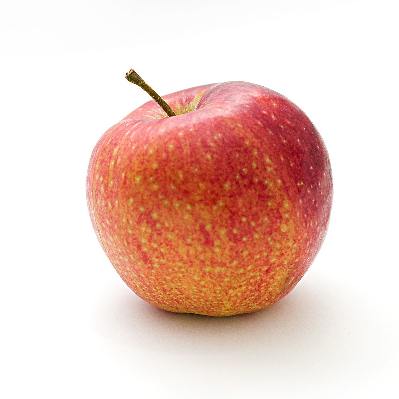 lebendig und vielfältig: die faszinierende welt des apple-handels