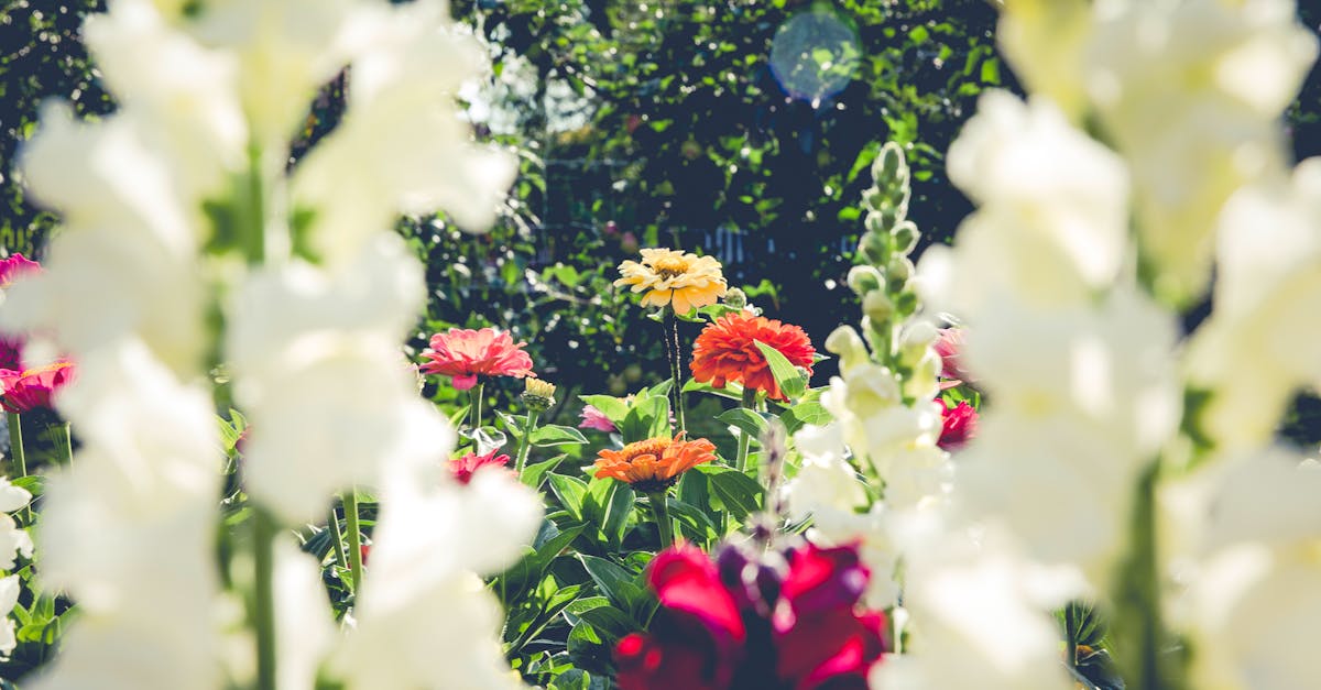 Gartenarbeit: Tipps für ein gesundes und blühendes Grün
