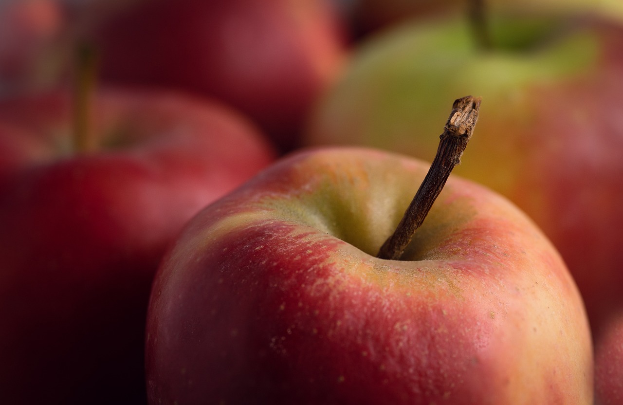 Gesundheit im Fokus der Rhema 2025